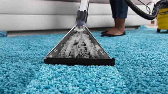 Expert Carpet Cleaning Auchenflower